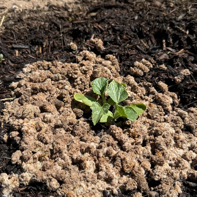 Natural Soil Amendment for Outdoor Gardens, Raised Beds & Indoor Plants - Organic Soil Additive Fertilizer for Plant Growth and Moisture Retention 1 Lbs