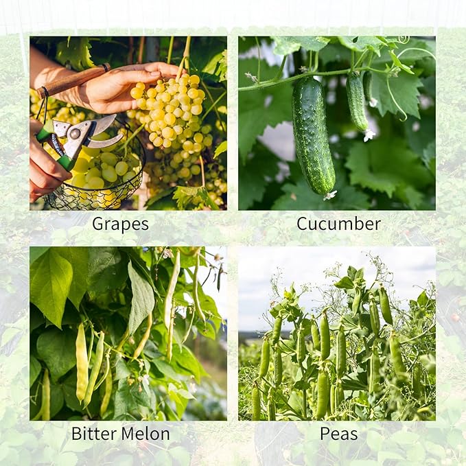 Cucumber Trellis 2 Pack, 59" H Foldable A-Frame Garden Trellis for Raised Bed Garden Grow Support with Plant Support Clips, Twist Ties for Cucumber,Tomato, Climbing Plants and Flowers