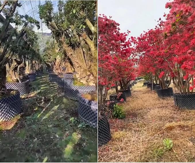 25 Gallon Air Pruning Containers 5-Pack, 100 Liter 20" X 20" D/H Special Packing Interlocked Large Air Root Pruning Planters for Big Tree Grow Outdoor(5 Pack 26 Gallon), Black