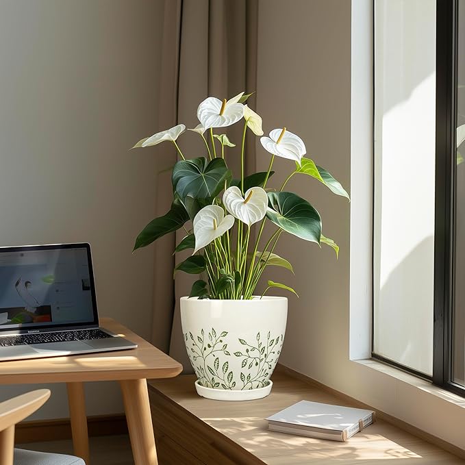 Ceramic Planter for Indoor Plants - 8.2 Inch Plant Pot with Drainage Hole and Saucer, Boho Round Planter for Indoor Outdoor Flowers, Plant Lover Gifts, Home Garden House Decor, White