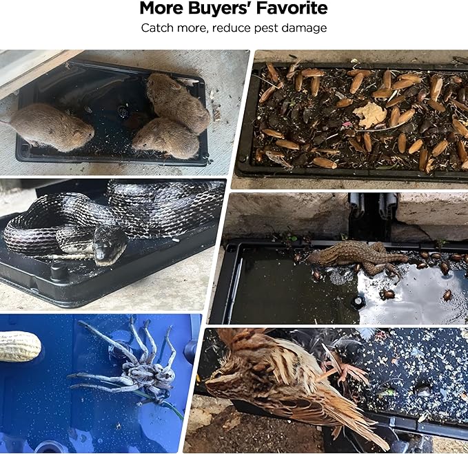 Glue Traps for Mice, 6 Pack Mouse Rat Trap, Extra Strength, Pre-Baited Adhesive Sticky Boards, Heavy Duty Glue Traps for Snake, Lizard, Insect, Safe Home Pest Control