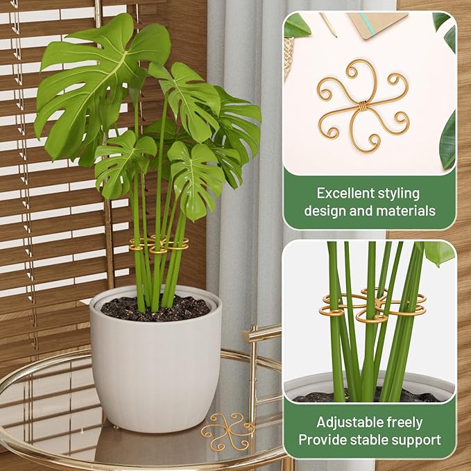 4PCS Iron Monstera Support, Uniquely Designed Plant Support Stakes for Indoor Plants, Stable Plant Stakes and Supports, Turtle Shell Bamboo Clamp Set for Thriving Growth