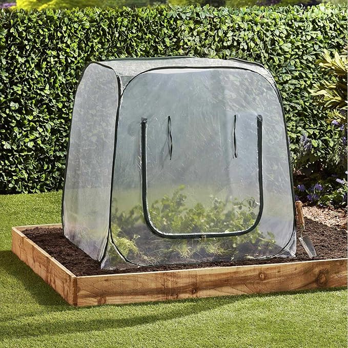 Pop Up Greenhouse Plant Greenhouse Cover, Mini Transparent Freeze Protection PVC Tent with Roll-up Zipper Entry Doors for Indoor and Outdoor Gardens Protecting Plant from Cold Frost (PVC, 39x39x39in)
