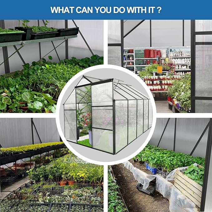 6x10 FT Polycarbonate Greenhouse,Heavy Duty Walk-in Garden Plants Green House,Adjustable Roof,Raised Base and Sliding Door for Outdoor Backyard,Easy to Install,Black
