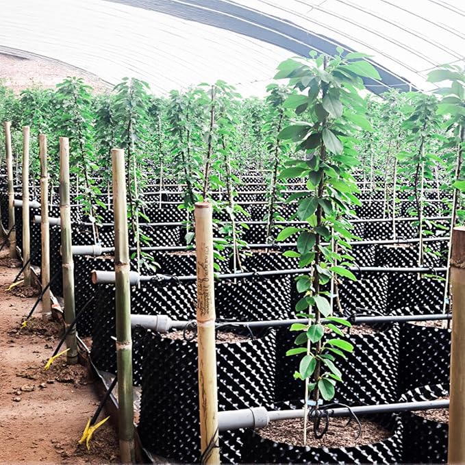 14 Gallon Air Pruning Planters, Plastic Pots for Plants, Large Plant Pots, Fruit Vegetable Garden Self-Planting Planters, Size 16"x16", Black, 5P