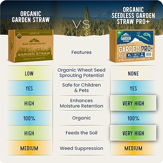 Blue Mountain Hay | Organic Seedless Garden Straw (3 lb) | Natural Mulch for Gardening, Flower Beds, Yard Landscaping, New Lawn Grass Seeding, Composting | Covers up to 30 sq ft