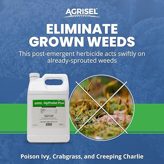 GlyPhoSel Plus Weed Killer, Post Emergent, Long-Lasting Action, Eliminates Tough Weeds from Leaf to Root, For Non-Crop Areas, Pet Safe, Includes 3-pack of Agrisel Protective Gloves, 128 Ounces