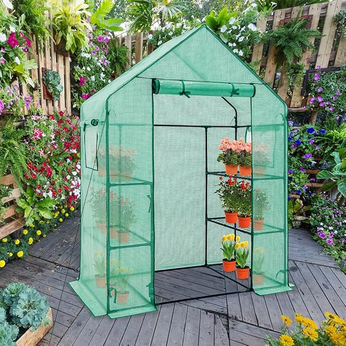 EAGLE PEAK Walk in 3-Tier Greenhouse with Wire Shelves, Portable Indoor and Outdoor Green House with Roll-Up Zippered Door & 2 Roll Up Side Windows, 4 Shelves, 61"x28"x79", Clear/Green PE Cover