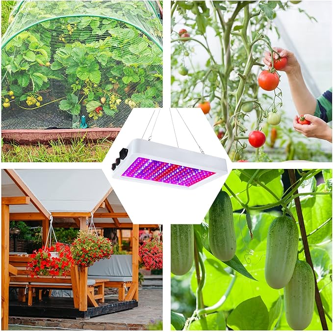 Supervitae 2 Pack 1000 watt LED Grow Lights for Indoor Plants Full Spectrum Growing Tent Lamps with Veg & Bloom & Veg-Bloom 3 Modes, Daisy Chain and Temperature Hygrometer for Vegetable and Flower