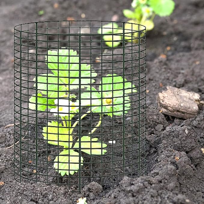 10 Pack 12" H X 4" D Wire Small Plant Protector from Animals, 10 PCS Small Metal Plant Cage Chicken Wire Cloche with Ground Stakes and Nylon Tie to Keep Animals Out, Garden Protection