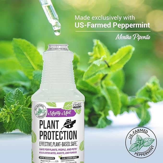 Mighty Mint Peppermint Plant Protection Spray for Insects, Gnats, Fungus, Mites, and Disease, 16 oz