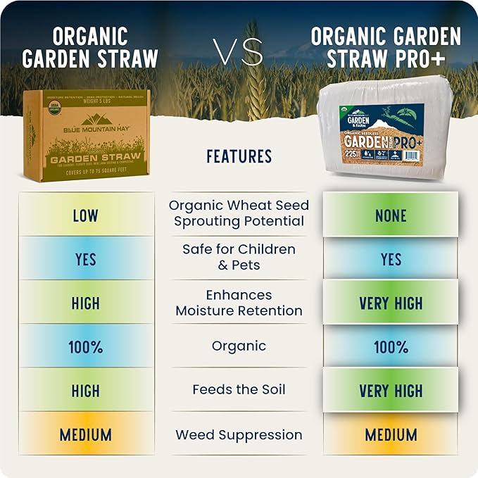 Blue Mountain Hay | Organic Garden Straw (10 lb) | Natural Mulch for Gardening, Flower Beds, Yard Landscaping, New Lawn Grass Seeding, Composting | Covers up to 150 sq ft