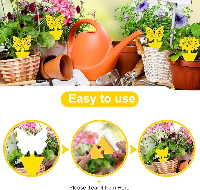 Fruit Fly Traps, 60 Pack Yellow Sticky Traps, Fungus Gnat Traps, Plant Fly Stickers for Indoor and Outdoor Use Protect The Plant