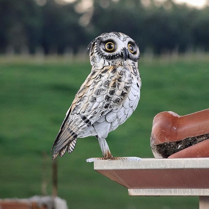 Shorayn Metal Owl Decor Garden Statue Outdoor Sculpture Yard Art for Patio Lawn Backyard Home Decoration Great Gifts