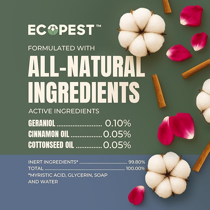 BugOut! Laundry Additive – Natural Detergent Booster for Bed Bug, Mite, Flea, & Tick Treatment & Prevention | Plant-Based Killer, Made with Fabric-Safe Soap | Works in Hot and Cold Wash (32 Oz)