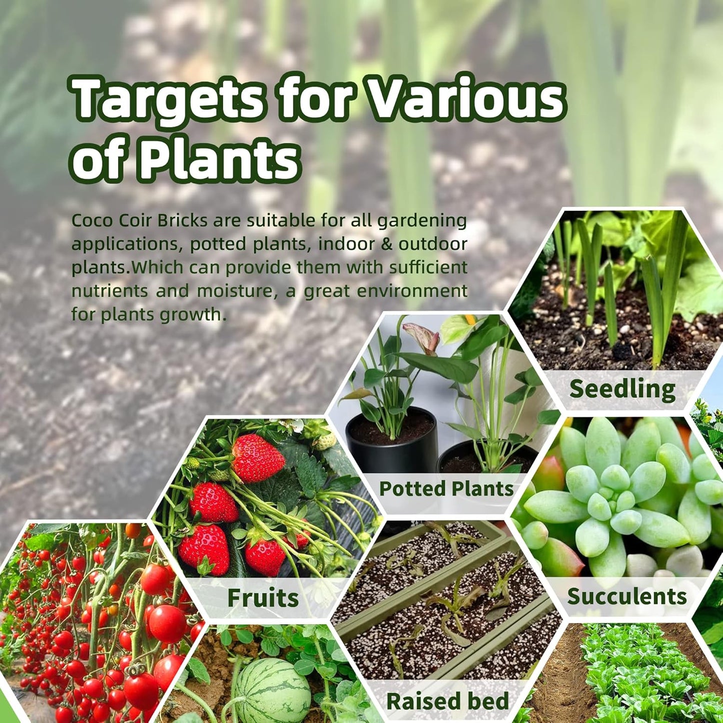 Coco Coir Brick for Plants, 8 Packs 100% Natural Organic Compressed Coconut Coir Fiber with Low EC & PH Balance, High Nutrition Coconut Soil Coco Fiber for Planting, Herbs