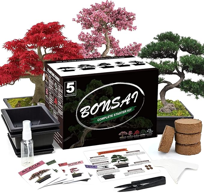 5 Bonsai Tree Kit Complete Plant Growing Tools, Grow in Pot Indoor Bonsai Tree Starter Kit, Great Home Gardening Potted Plants DIY Gift for Adults