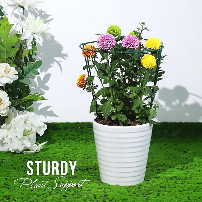 LEOBRO Plant Support, 8PCS Peony Cages and Supports, Plant Stakes for Indoor Plants, Outdoor Plants, Plant Holders, Tomato Monstera Hydrangea Support Cage, 10" W x 15.8" H