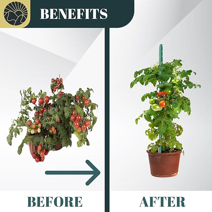 Garden Stakes 24 Inch Pack of 30, Plastic Coated Metal Plant Stakes, Plant Support Sticks for Tomato, Climbing Plants, DIY Garden Trellis