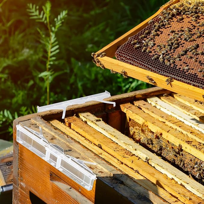 Qualirey 50 Pcs Plastic Beehive Beekeeping Tools Set Hive Trap Beetle Blaster Kit for Hive Beetle Beekeeping Supplies Control Beetles (Clear)