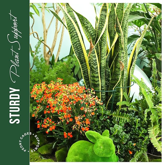 LEOBRO Plant Support Stakes, 4 PCS Plant Stakes, Plant Support, Peony Cages and Supports, Garden Stakes, Plant Stakes for Indoor Outdoor Plants, Hydrangea Support Cage, 10" W x 15.8" H