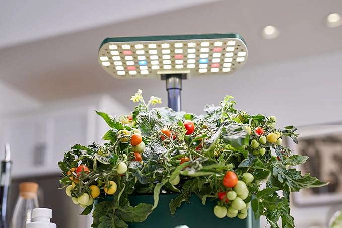 AeroGarden Harvest 2.0, Indoor Garden Hydroponic System with LED Grow Light, Holds up to 6 AeroGarden Pods, Green