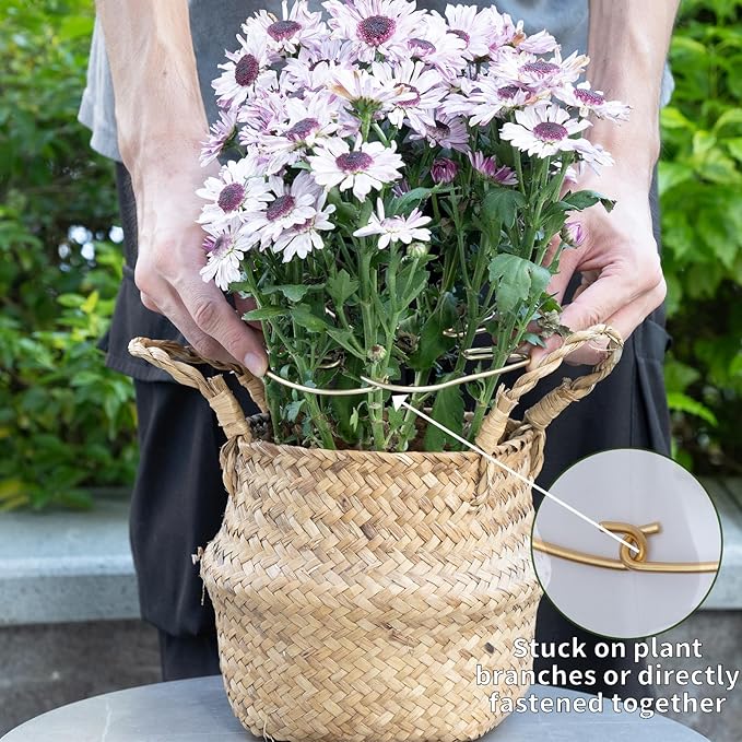 5PCS Plant Stem Support - Durable Monstera Stabilizer Grapple Holder, Unique Design for Climbing Plants, Turtle Shell Bamboo Clamp Set, Ideal Plant Support for Thriving Growth (Gold)