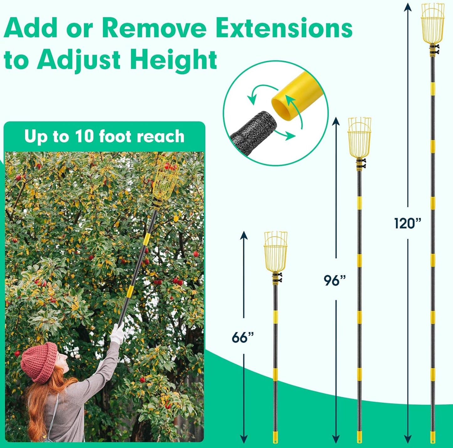 Fruit Picker, 66 Inch Long Heavy Duty Fruit Picker Tool with Fruit Basket, Adjustable Splicing Extension Fruit Picker Pole Fruit Picking Grabber