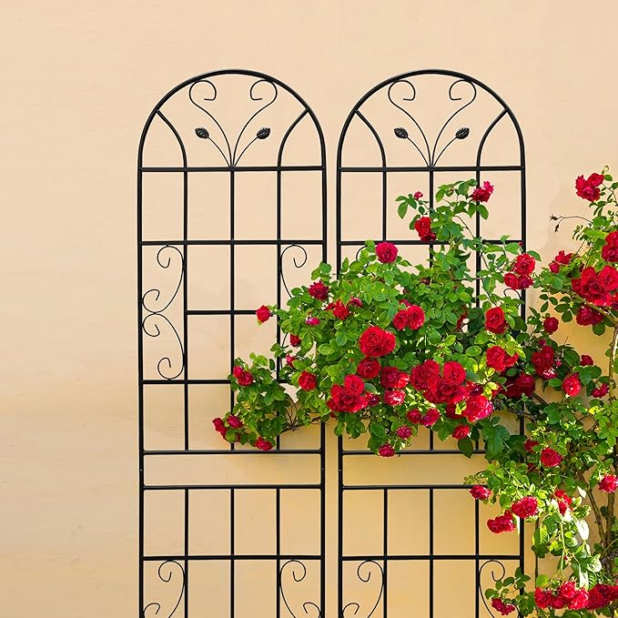 4 Pack Metal Garden Trellis 86.7" Tall Outdoor Climbing Plant Support for Roses, Flowers, Rustproof Durable Black Galvanized Tube, Lawn Garden Fence Decor Screen (4, Black curves-86.7" H)