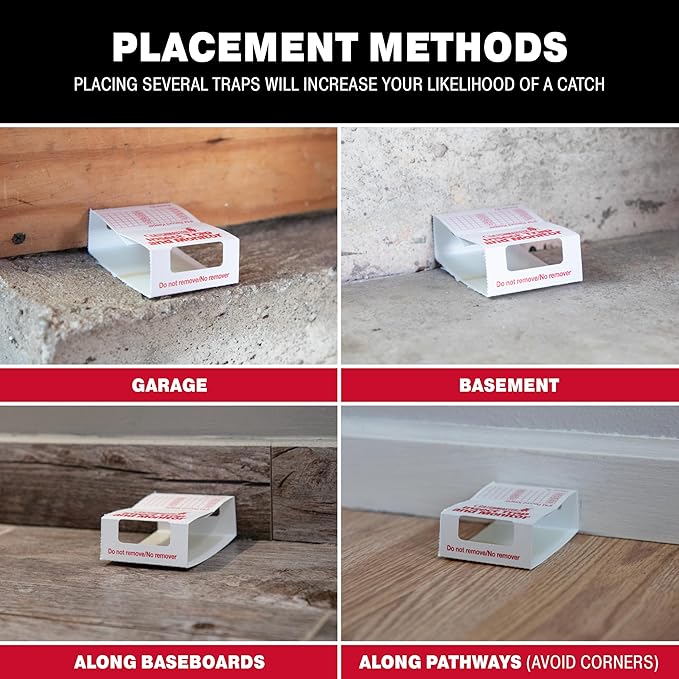 Catchmaster Spider & Insect Glue Traps 30-Pk (10 Sheets), Adhesive Cockroach Killer Glue Boards, Cricket Sticky Traps, Indoor Roach & Bug Catcher for Home, Garage & Shed, Pet Safe Pest Control