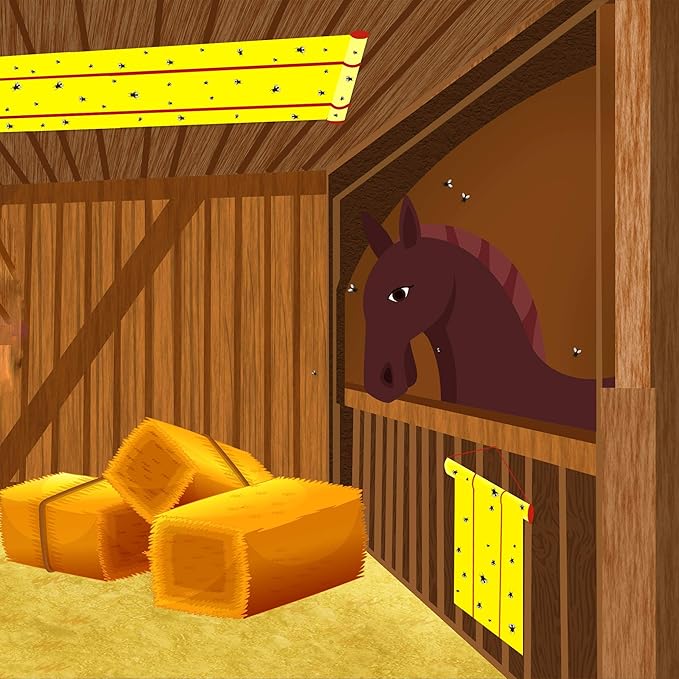 W4W, Giant Sticky Fly Trap Roll - MAX Strength - Outdoor/Indoor - Non Toxic - for Flies and Other Bugs (2 Pack- Contains 2 Giant Fly Rolls)