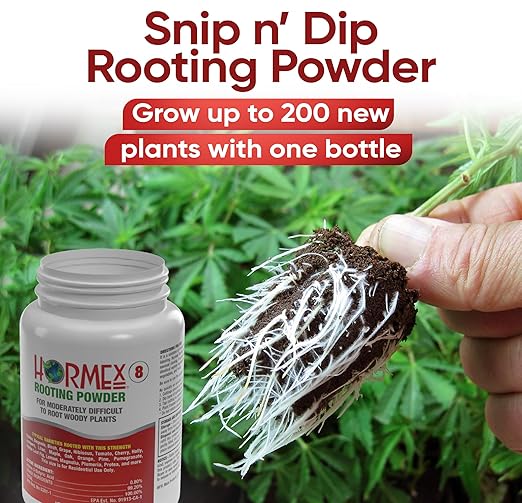 Hormex Rooting Powder #8 (0.80 IBA) - Rooting Hormone for Semi-Hardwood Houseplants, Medicinal and Tree Cuttings - Plant Root Stimulator for Cloning - Strong Roots for Maximum Propagation Success