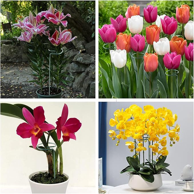 Joyhalo 12 Pack Plant Support Stakes 24 Inch, Plant Stakes, Flower Stakes with 24 Twist Ties, Garden Sticks for Plants Iris, Dahlia, Gladiolus, Amaryllis, Rose, Sunflower, Tomato, Sapling Etc