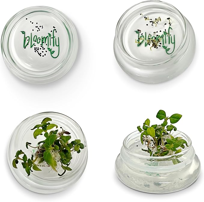 Terra Gel Seed Germination Tray with Glass Dome – Advanced Technology Gardening Supplies Plant Propagation Station Form Seeds – Easy to Use Seed Starter Kit
