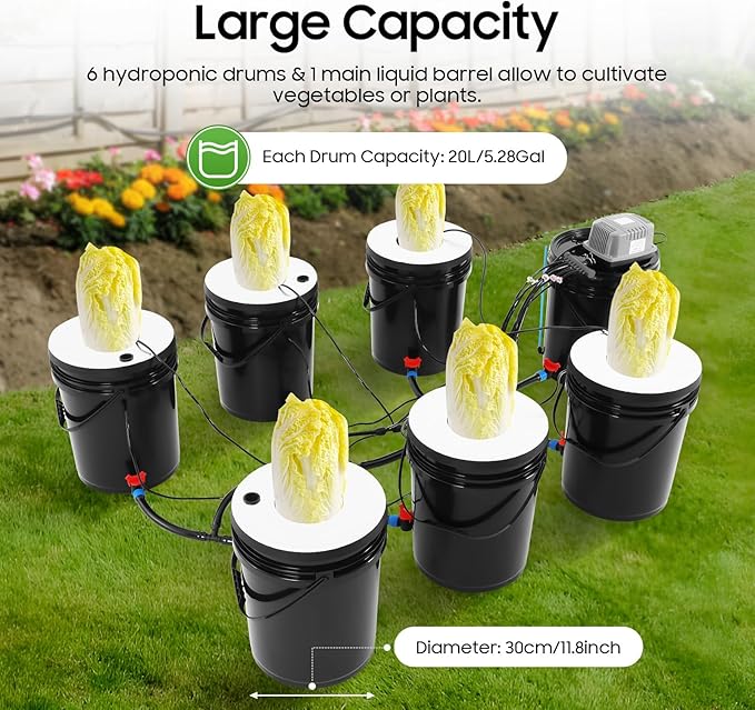 DWC Hydroponics Grow System, 6 Hydroponics Grow Bucket 20L DWC Recirculating Deep Water Culture 6 Air Stones for Indoor/Outdoor Leafy Vegetables