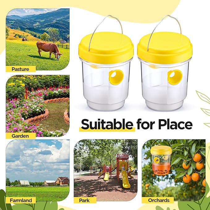 Qualirey 4 Pcs Wasp Traps for Outdoors Wasp Killer Hanging Bee Traps Reusable Fly Bee Killer for Indoor Outdoor Patio Garden Home (Yellow)
