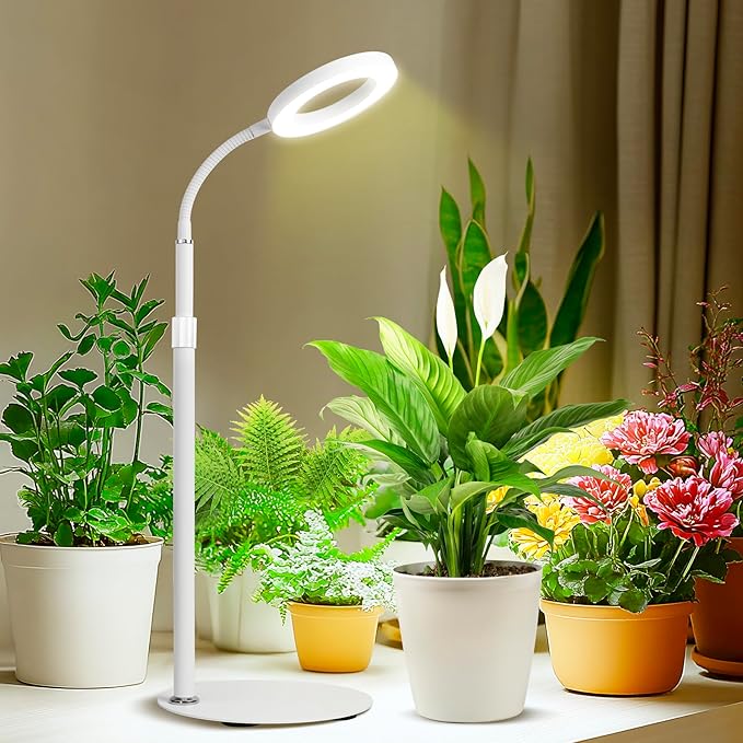 Desk Top Grow Lights for Indoor Plants,Full Spectrum Table Plant Light,24.2" Telescope Stand,UV LED Red Blue Halo Growing Lamp,Adjustable Gooseneck,Auto Timer,3 Lighting Modes,10-Level Dimmable
