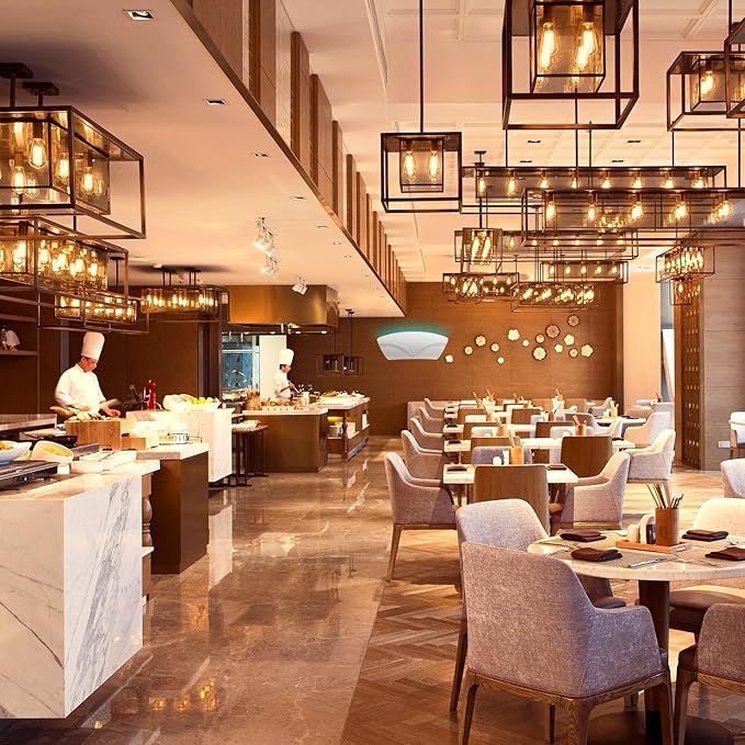 Faicuk WS130 Wall Sconce Fly Light Trap for Capturing Flies, Moths, Gnats, Mosquitos and Other Flying Insects, Ideal for Warehouses, Schools, Hospitals, Restaurants, Commercial Kitchen