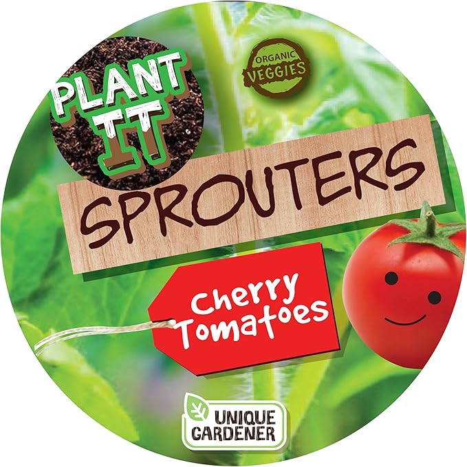 Plant-It Starters Plant Seeds 4 Variety Pack, DIY Indoor Succulents and Live Plants for Home or Garden Planting, Assorted Seed