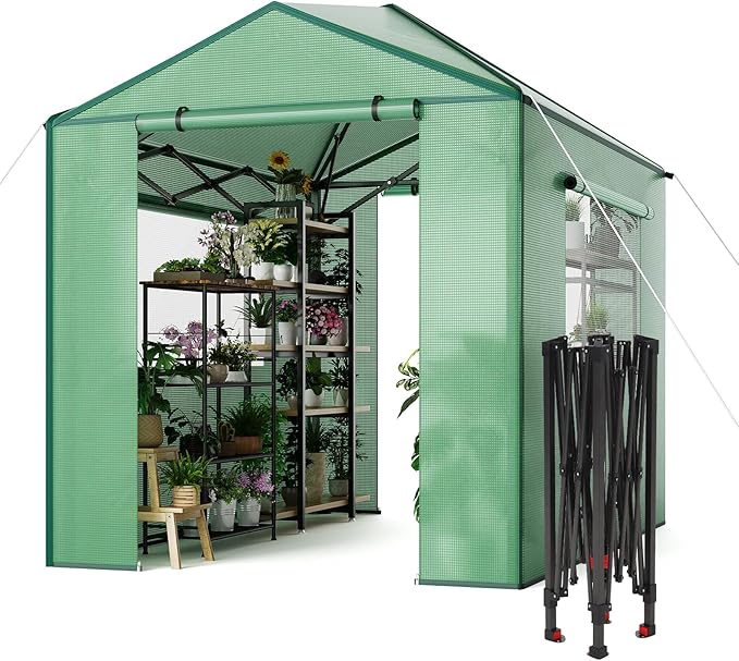 6X8 FT Portable Greenhouse for Outdoor,182 x 243 CM Wall in Pop Up Greenhouse for Gardening Plant, Zipper Roll Up Door & 4 Mesh Window, Double Frame, PE Cover Grow Tent for Winter, Green