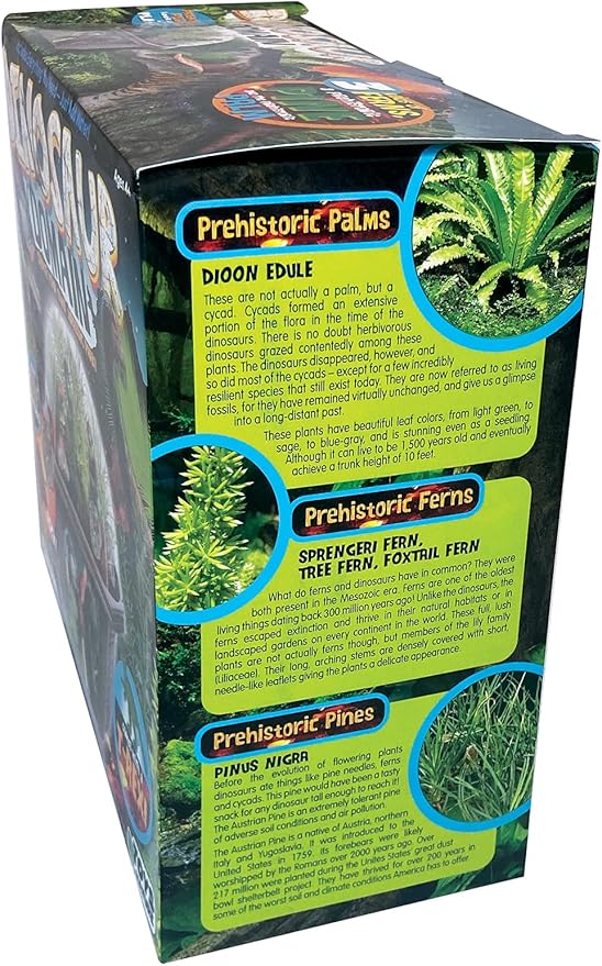 Toys by Nature Biosphere Terrarium Starter Kit, Complete Supplies Included to Grow Your Own Prehistoric Jurassic Park (Dinosaur Domain)