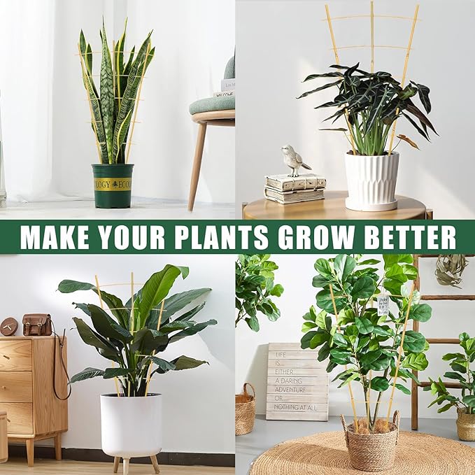 Bamboo Garden Trellis - 24 Inches Tall, 3 Pack - Perfect for Climbing Plants, Vegetables, and Pots - Enhance Your Garden with Natural Bamboo ，2Ft Plant Trellis Indoor