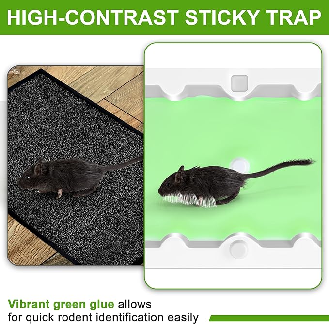 Qualirey 6 Pack Mouse Glue Trap, Super Sticky Traps Mouse Size for Mice and Rats, Pre-Scented, Non Toxic Mice Glue Boards, Rodent Sticky Pads Indoor for Home, Easy to Use, Pet Safe Pest Control