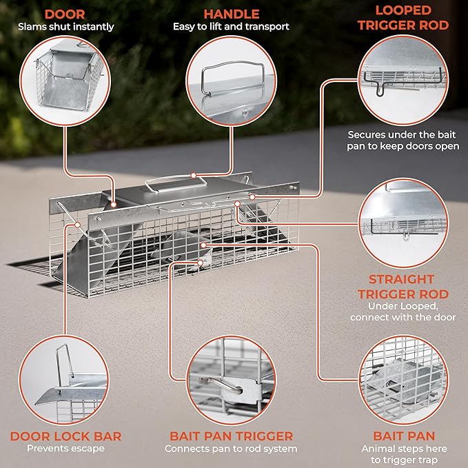 HOMESTEAD Live Rat Trap Indoor/Outside - Squirrel Trap, Have A Heart Animal for Chipmunk, Small Rabbits, Weasel and Similar-Size Rodents, 18"x5"x5", 2 Doors, Fully Assembled
