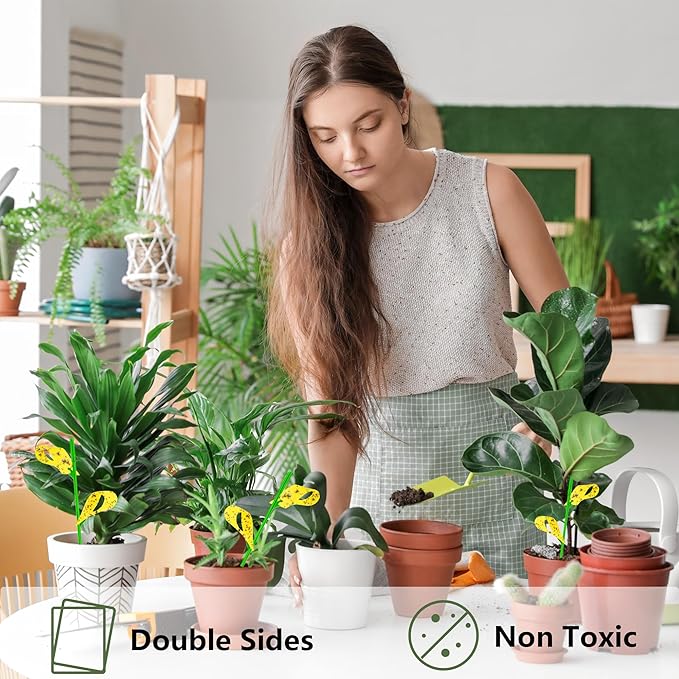 60PCS Yellow Sticky Traps for Gnats Fungus Gnat Traps for House Indoor Fruit Fly Traps for Indoor/Outdoor Catcher for Whiteflies Mosquitoes Thrips Aphids... Stake Holders Included Dual-Sided