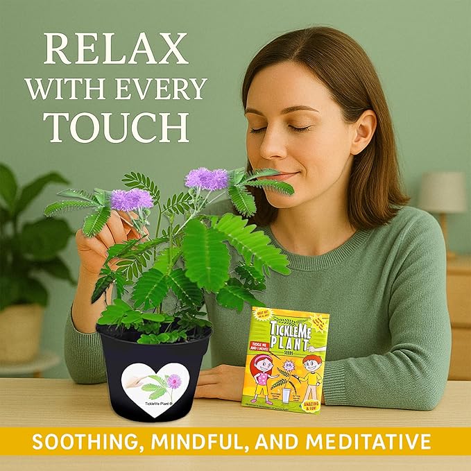 Happy Birthday Mom TickleMe Plant Gift Box Set to Grow A Touch-Sensitive Shy Plant That Closes Its Leaves When You Tickle Or Blow A Kiss | Fun Interactive Grow Kit with Seeds, Pot, Soil, Instructions