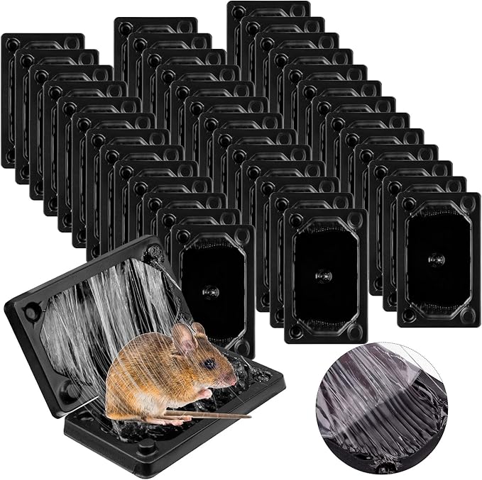 Qualirey 40 Pcs Baited Mouse Glue Traps Indoor for Home Adhesive Plastic Sticky Rat Traps Pads Bulk for House Pest Mice Rats Indoor Outdoor, Simple and Easy to Use (Black)