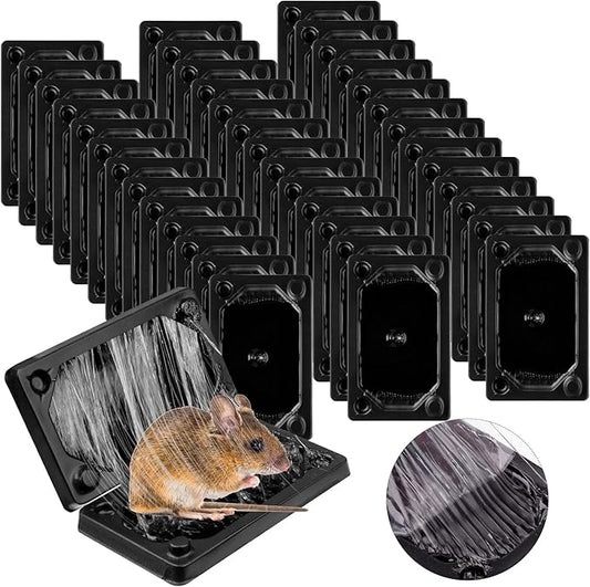 Qualirey 40 Pcs Baited Mouse Glue Traps Indoor for Home Adhesive Plastic Sticky Rat Traps Pads Bulk for House Pest Mice Rats Indoor Outdoor, Simple and Easy to Use (Black)