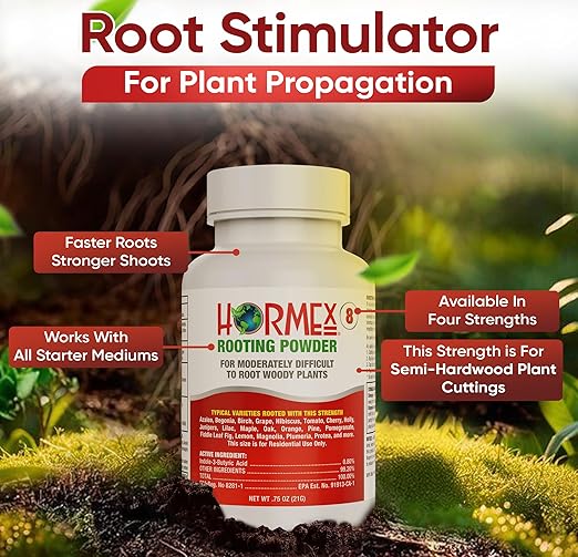 Hormex Rooting Powder #8 (0.80 IBA) - Rooting Hormone for Semi-Hardwood Houseplants, Medicinal and Tree Cuttings - Plant Root Stimulator for Cloning - Strong Roots for Maximum Propagation Success