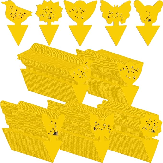 200 Sheets Fruit Fly Sticky Traps for Fruit Fly Gnat Trap for House Indoors Sticky Traps Catcher for Gnats Fungus Gnats Mosquito Catcher for Kitchen Outdoor Plants(Yellow)